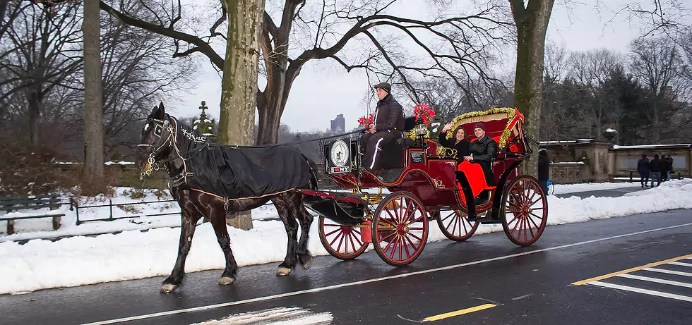 Two People Taking a Ridge on a Horse and Carriage in Central Park NY